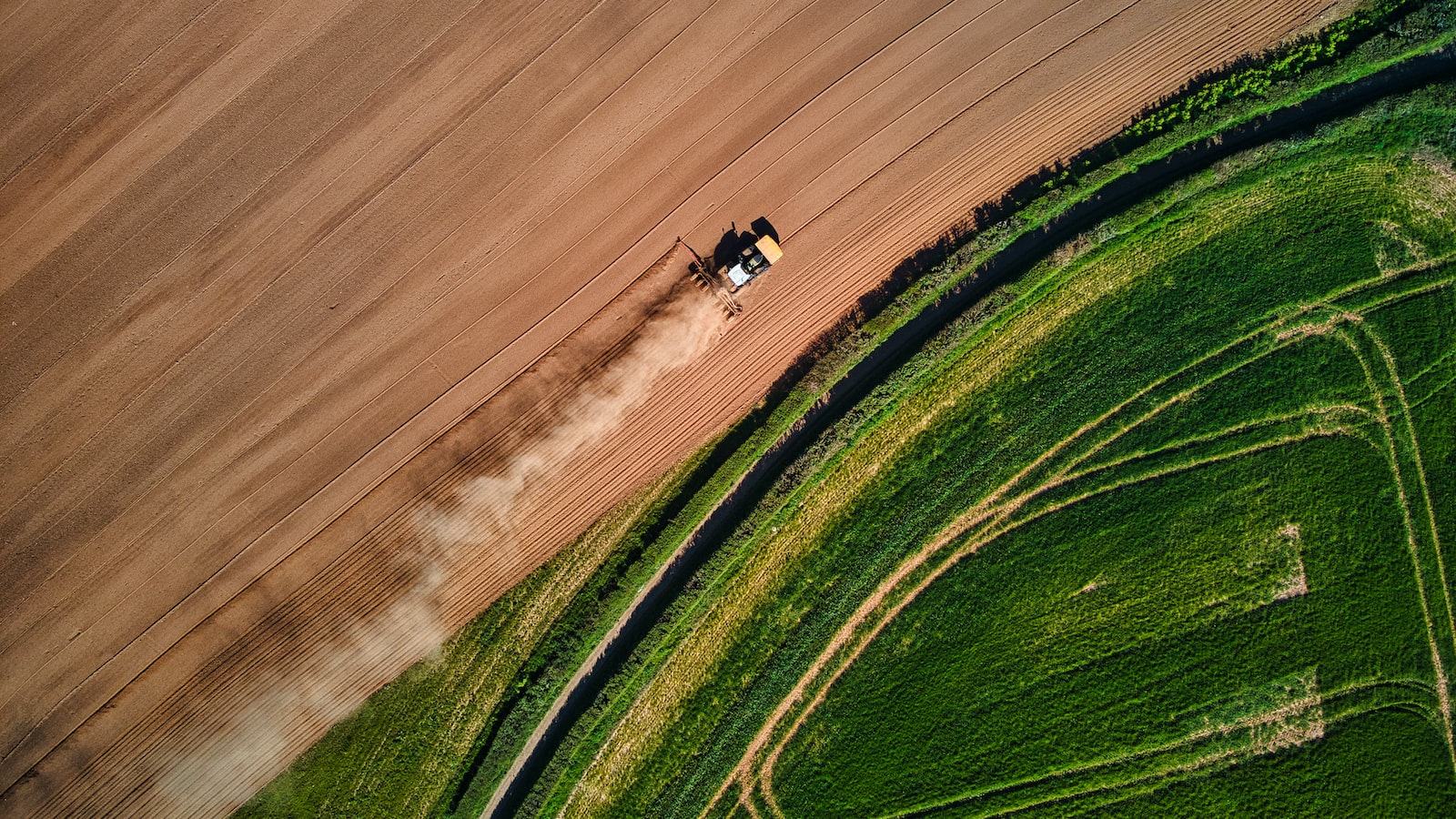 負情難忍，肌膚受傷：愛你的皮膚，要好好對待它