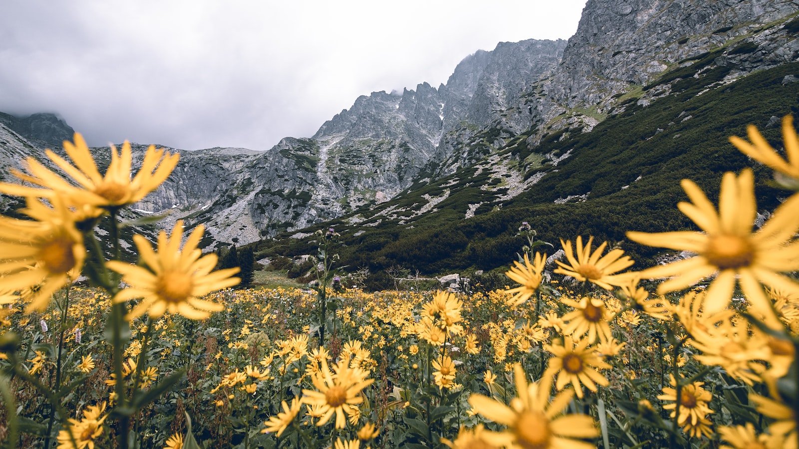 零售業者如何網路行銷？